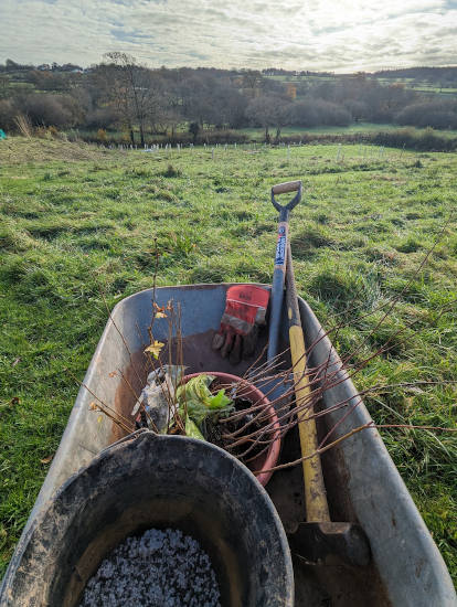 Barrow, tools and saplings in a field